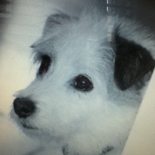 daveendiane's profile picture. 