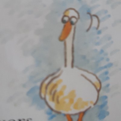 GooseyGander12 Profile Picture