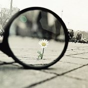 عفان الصالحي (@alsalhyafan) Twitter profile photo