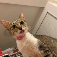 カーリー (@wn4lburqtne0on2) 's Twitter Profile