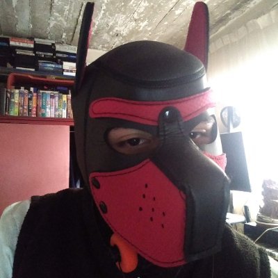 🐶 puppyboy-wolfie🐺/22 años/EDOMEX🇲🇽/puppyretro💽 💾 💿 📀 📼/Un poco de NSFW🔞/Amante de las galletas🍪/puppyplay/Unpoco de yiff/Y amante de los videojuegos
