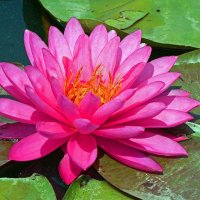 Mike Price (@pricemike565) 's Twitter Profile Photo