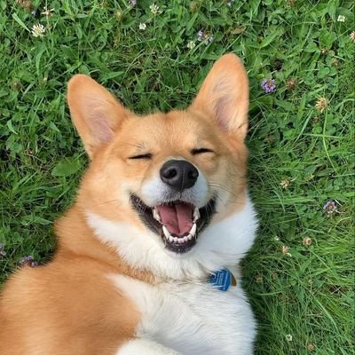 C3reaco's profile picture. She/Her - 18y - ESTJ/ISTJ (ambivert) - 
Mid Artist 🎨 - Noodle Dragon 🐉🍜