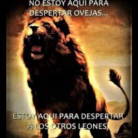 ANTONIO WILMER MENA DE LA PORTA. (@wilmerm55578082) 's Twitter Profile