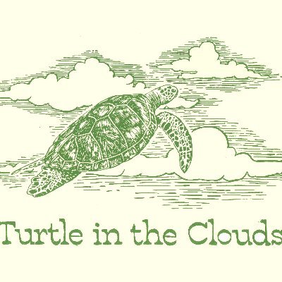 TurtleInDaCloud Profile Picture