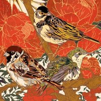 gina s. noer (@ginasnoer) 's Twitter Profile