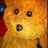 contactjari's profile image