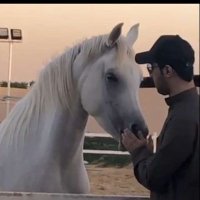راشــد بن روباج القرشي(@al_rock66997) 's Twitter Profile Photo