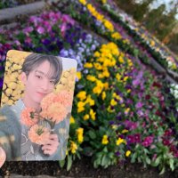 miyoshi🐴 (@run_to_uma) Twitter profile photo