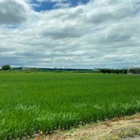 green (@green26181775) Twitter profile photo