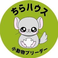 ちらハウス(@chirahouse) 's Twitter Profile Photo