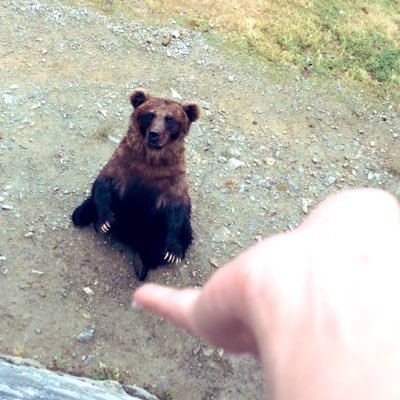政治、社会福祉系アカウント/PSW目指して走ってたら…なぜか当事者側になった/大切な人たちの領域を守るため情報収集/無党派(自民・公明・維新・立憲✖️)/不要な物・思考断捨離中/大阪市に住む非国民(いいね&RTは賛同ではなく記録)