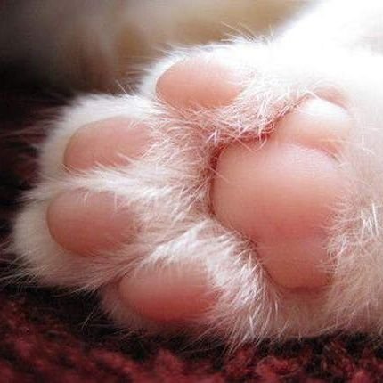 a10407136's profile picture. 