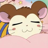 おやすみネムちゃん💤 (@oyasuminemuchan) 's Twitter Profile