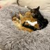 redders2😻🐈🌸🚴♂️🇦🇺 (@ezza2876) Twitter profile photo redders2😻🐈🌸🚴♂️🇦🇺 (@ezza2876) Twitter profile photo
