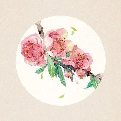 homsizuvr's profile picture. 