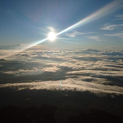 it_0081's profile picture. 