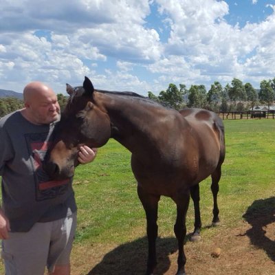 Just keeping the bastards honest. Carlton tragic. Melbourne Storm. Pittsburgh Pirates. USA and Canada Harness Racing Guru. Member Clubbaganoush