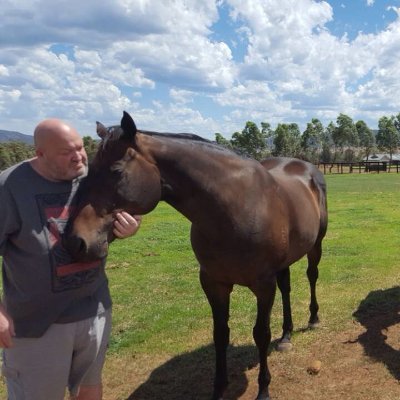 Just keeping the bastards honest. Carlton tragic. Melbourne Storm. Pittsburgh Pirates. USA and Canada Harness Racing Guru