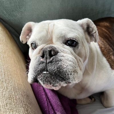 PennyPhillips15's profile picture. 