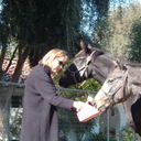 Laura Siler - @laurasiler - Twitter