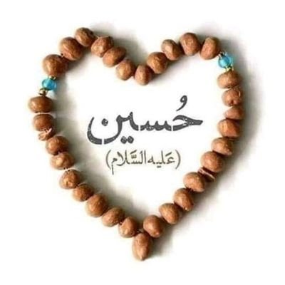 NaseemA24213116's profile picture. 