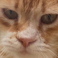 kapattık kardeşim hadi. (@yedeknoir) Twitter profile photo