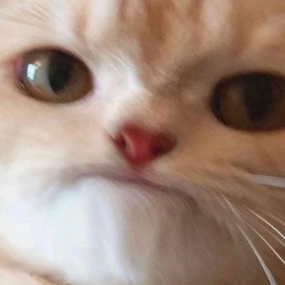 e_as_client's profile picture. ✧ occasionally looks for acad help