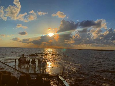 asamglutomato's profile picture. Run