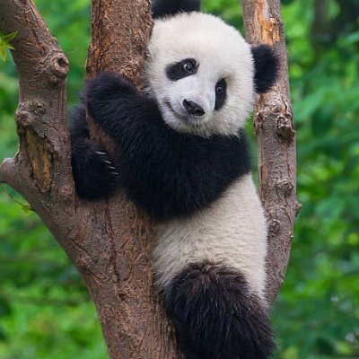 Security Researcher
Medium articles: https://t.co/dS8R0kjH2J
Github: https://t.co/1hn5pOJVUX