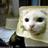 ChutneyHardcast's profile image
