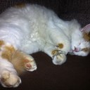 Simon Bowden - @Johnymoondog - Twitter