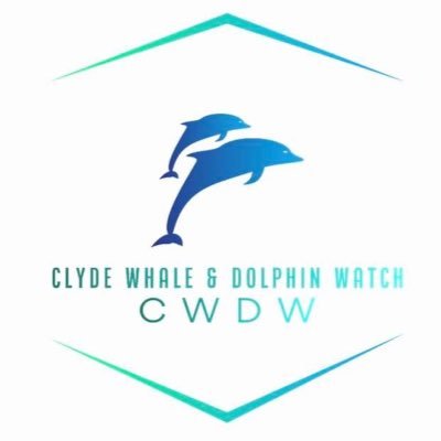 Clyde Whale & Dolphin Watch