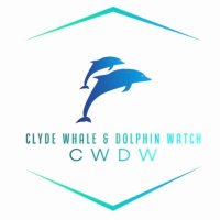Clyde Whale & Dolphin Watch (@cwdw_research) 's Twitter Profile