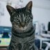 🐈⬛🐈⬛🐈⬛ (@e9_xxl) Twitter profile photo 🐈⬛🐈⬛🐈⬛ (@e9_xxl) Twitter profile photo