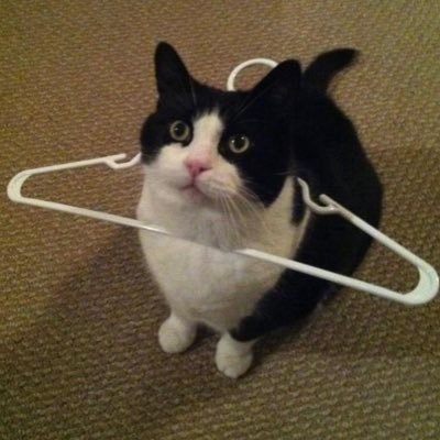 ai_credoo's profile picture. • 6:40 •