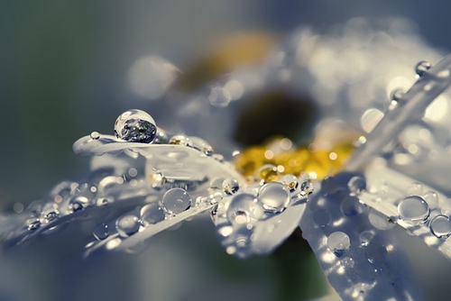 m_banafe's profile picture. 