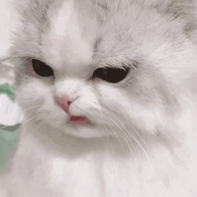 MsNancySu's profile picture. 