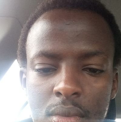 duckduckgo29's profile picture.