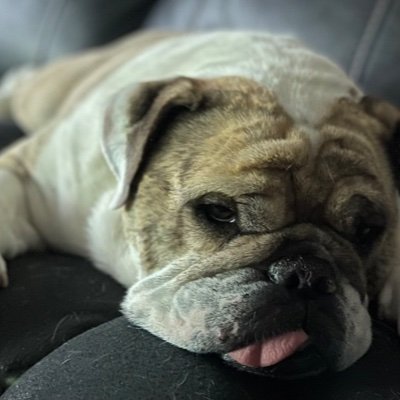 TonyJ21835425's profile picture. 