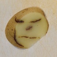 Micha, sehr wohl mit Farbfilm (@der_miggel) 's Twitter Profile