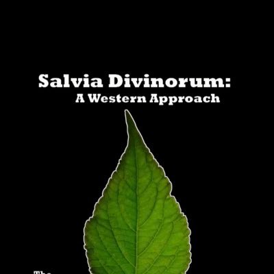 Now @ Amazon! The worlds 1st comprehensive feature #documentary film on salvia divinorum: Salvia Divinorum: A Western Approach #psychedelic #shaman #entheogen