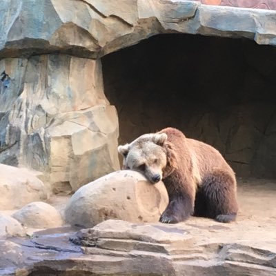 yuto_lifeblog's profile picture. 20代会社員|株式投資初心者🔰 |米国株式投資(インデックス&高配当) |積立NISA|投資信託|目標: 20代で資産1,000万円|ゆるーく勉強中！