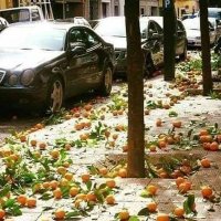 مالك الاحاسيس (@alahasys_malk) Twitter profile photo