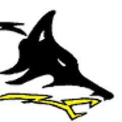 MichaelDunkli11's profile picture. proof that GOD loves me.
He planted me in Cisco Tx.🙏