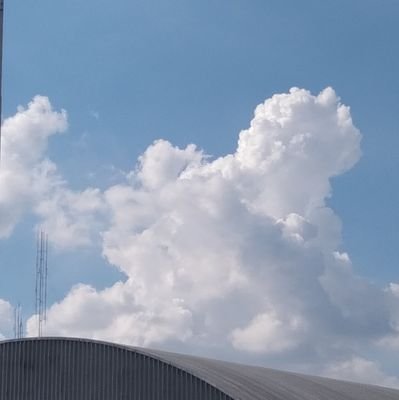 secretly_like01's profile picture. 16-17 Y เอว 24 สูง 164 น้ำหนัก 49-55 ( อยากดู ค*ย จุงเบยย )