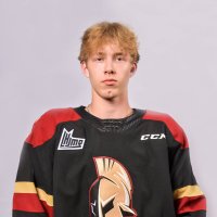 Dominik Godin (@godin_dominik) 's Twitter Profile