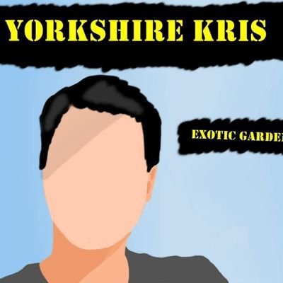 YorkshireKris Profile Picture