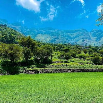 ALSALM222's profile picture. اعشق الهواء والهوية