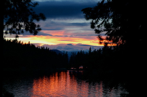 NanMcKown's profile picture. 